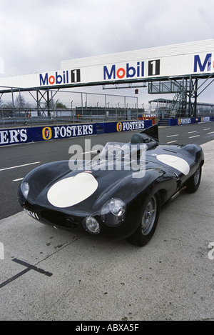 1954 Jaguar D-type Stockfoto