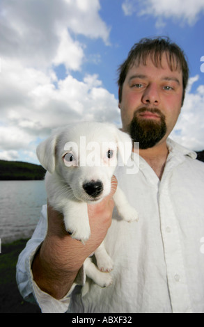 Jack Russell Terrier Welpe Hund Eigentümers Stockfoto