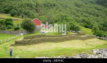 Kalleli Lysefjord-Norwegen Stockfoto