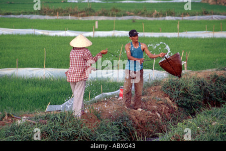 Landwirte Bewässerung der Reisfelder in Vietnam Stockfoto