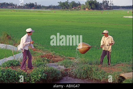 Landwirte Bewässerung der Reisfelder in Vietnam Stockfoto