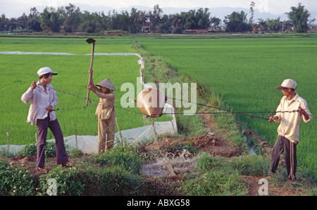 Landwirte Bewässerung der Reisfelder in Vietnam Stockfoto