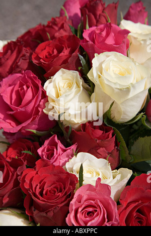 Rote und weiße Rosen im Brautstrauß Stockfoto