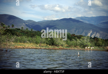 Enriquillo See im Südwesten der Dominikanischen Republik Stockfoto