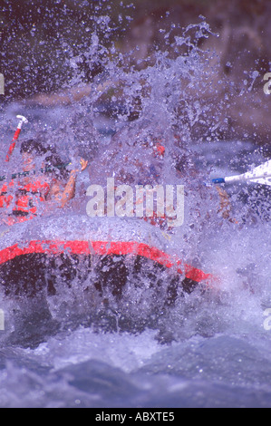 Wildwasser-rafting Martins Rapids McKenzie River Oregon USA Stockfoto