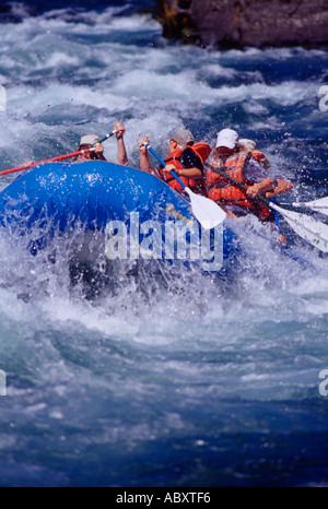 Wildwasser-rafting Martins Rapids McKenzie River Oregon USA Stockfoto