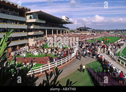 Menschenmengen beim St. Leger Horse Race Meeting, Doncaster, South Yorkshire, Großbritannien Stockfoto