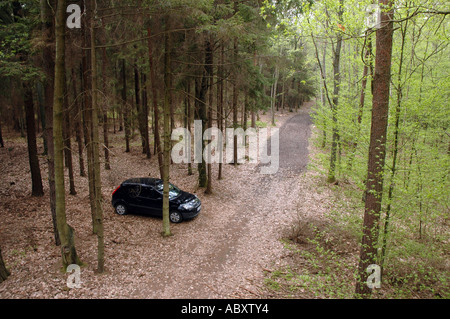 Wald im Landschaftspark Nadbuzanski auch genannt The Bug River Valley Landschaftspark in Polen Stockfoto