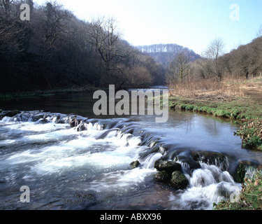 Der Fluss Wye durchströmenden Chee Dale im englischen Peak District National Park Stockfoto