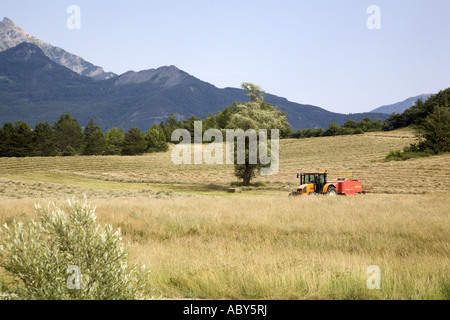 Traktor Rasenmähen in der Kulturlandschaft in der Nähe von Chorges, Hautes Alpes, Provence, Frankreich Stockfoto