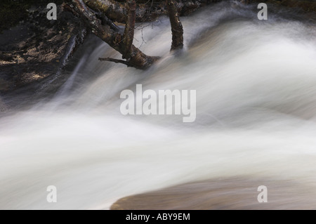 Ein Cairngorm-Fluss in Flut, der Fluss Quoich in der Nähe von Braemar, Schottland. Stockfoto