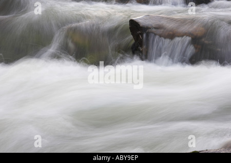 Ein Cairngorm-Fluss in Flut, der Fluss Quoich in der Nähe von Braemar, Schottland. Stockfoto