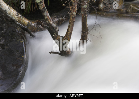 Ein Cairngorm-Fluss in Flut, der Fluss Quoich in der Nähe von Braemar, Schottland. Stockfoto