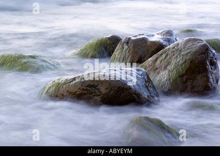 Steinen in der Brandung Stockfoto