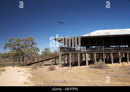 Historische Kinchega Woolshed Kinchega Nationalpark Outback New South Wales Australien Stockfoto