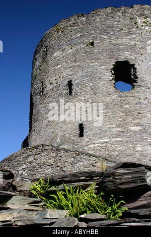 Dolbadarn Burg in Llanberis Wales Stockfoto