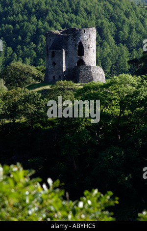 Dolbadarn Burg in Llanberis Wales Stockfoto