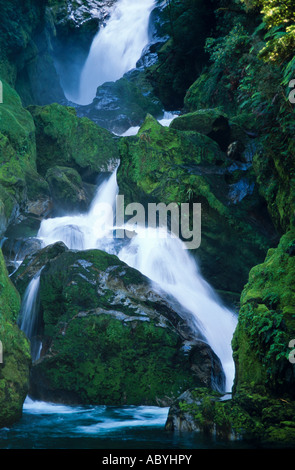 Wasserfall, Fiordland-Nationalpark, Südinsel, Neuseeland, ertikal Stockfoto