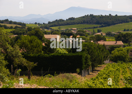 Chateauneuf du Pape in der Nähe von Avignon Provence Frankreich Weinberg Landschaftsansicht aus der Stadt in Richtung Mont Ventoux Stockfoto