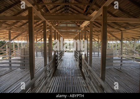 Historische Kinchega Woolshed Kinchega Nationalpark Outback New South Wales Australien Stockfoto