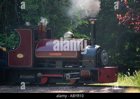 Schmalspur-Engine 10 und ein halbes Zoll Alan Bloom an eine/n Thomas am Tank Bressingham Gardens in der Nähe von Diss Norfolk Stockfoto