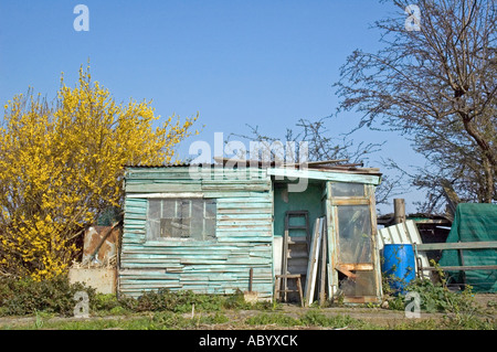 Allotment Shed Manor Garden Zuteilung Lea Valley Hackney London UK Stockfoto