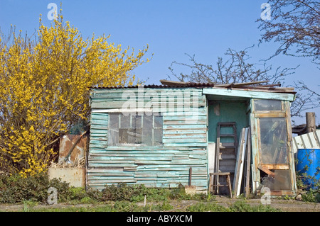 Allotment Shed Manor Garden Zuteilung Lea Valley Hackney London UK Stockfoto