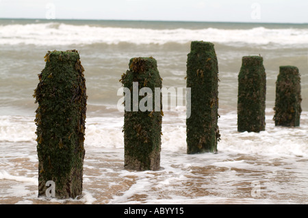 Wellenbrecher am einsamen Strand Welle Spritzwasser Erosion Land der Gezeiten Meeresküste, Küste, Verteidigung, Küsten, Stockfoto