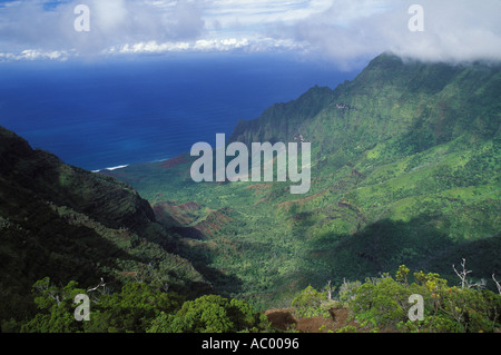 Na Pali Klippen Kauai Hawaii Stockfoto