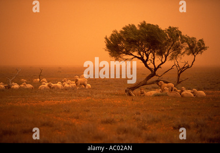 Duststorm, in der Nähe von Broken Hill, New South Wales, Australien Stockfoto