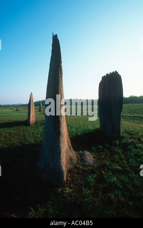 Landschaft Amitermes Meridionalis magnetischen Termitenhügel ausgerichtet, Nord-Süd als Form der Temperaturregelung Australien Stockfoto