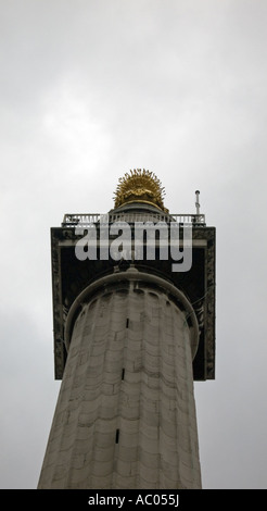 Das Monument, City of London, England, UK. Stockfoto