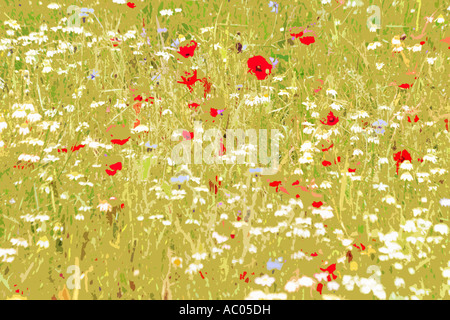 Abstrakte wilden Blumen-Design aus den Blüten auf dem Piano Grande Sibillini Nationalpark Le Marche Italien Stockfoto