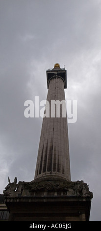 Das Monument, City of London, England, UK. Stockfoto
