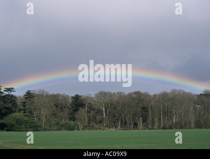 Regenbogen auf Benacre Estate in Suffolk Uk Stockfoto