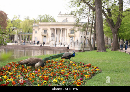 Palast auf dem Wasser im Royal Lazienki-Park in Warschau, Polen Stockfoto