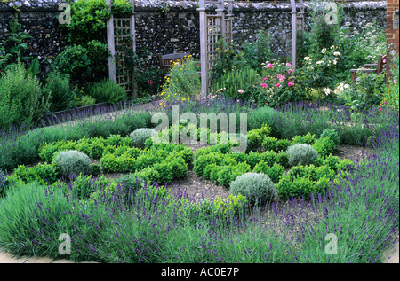 Kraut Knoten Garten Lavendel Box Hecken Spalier Bögen Stockfoto