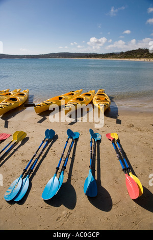 Kajakfahren in Coles Bay auf der Freycinet Halbinsel Stockfoto