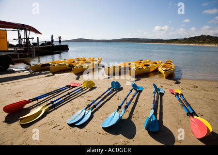 Kajakfahren in Coles Bay auf der Freycinet Halbinsel Stockfoto