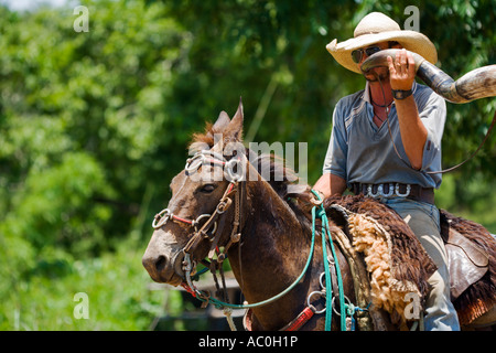 Almabtrieb im Pantanal, Cowboy mit traditionellen Kuh horn Stockfoto