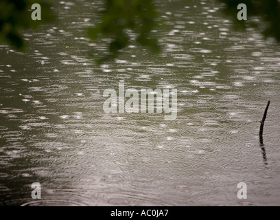 Regentropfen fallen auf einem See Stockfoto