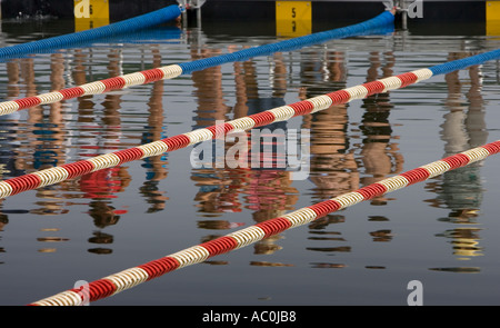 Reflexionen der Schwimmer vor dem Schwimmen treffen Stockfoto