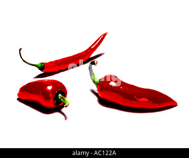 rote Paprika auf weißem Hintergrund Stockfoto