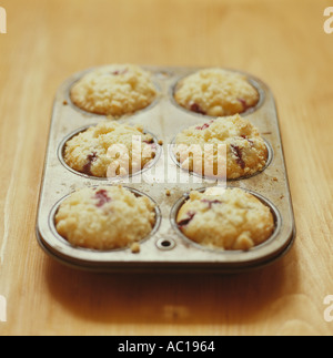 Frisch gebackene Blaubeer-Muffins in der Pfanne Stockfoto