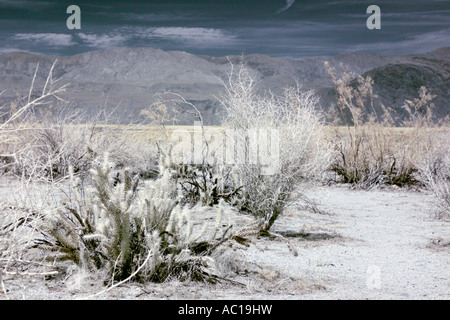 Anza-Borrego Wüste in Infrarot Stockfoto