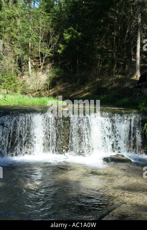 Wasserfall auf Jelen Fluss, Roztocze, Polen Stockfoto