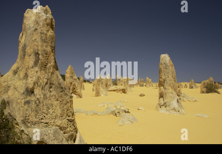 Pinnacles Desert im Nambung National Park in Westaustralien Stockfoto