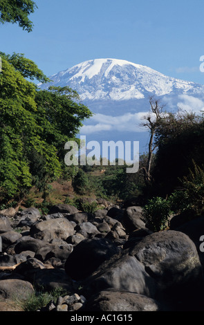 Kilimanjaro (5,895 m) und Karanga River. Blick von Moshi, Tansania Stockfoto