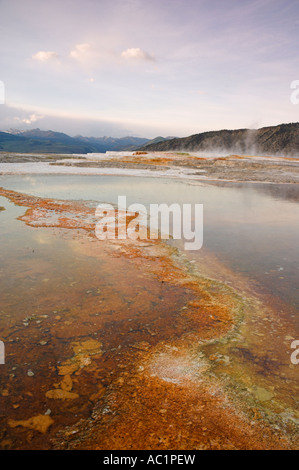 Orange Abfluss kanarischen Frühling Top Mammoth Hot Springs Yellowstone National Park Wyoming USA Vereinigte Staaten von Amerika Stockfoto