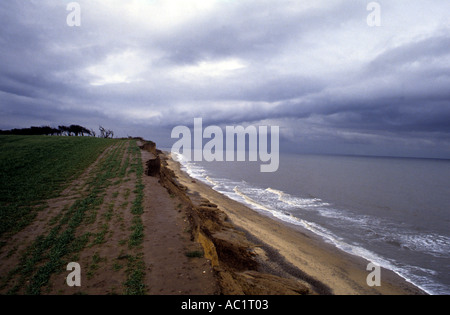 Ackerland bei Covehithe in Suffolk, die Briten und möglich den Weltrekord für Küstenerosion hält. Stockfoto